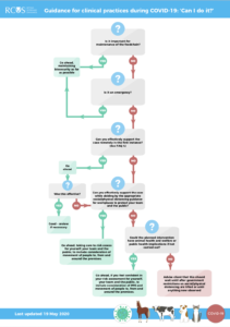 RCVS Flowchart PDF thumbnail